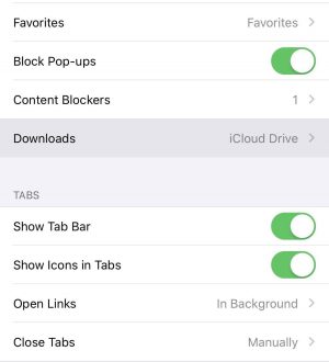 Как использовать Safaris New Downloads Manager в iOS 13