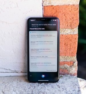 Как использовать Siri для поиска в Интернете |