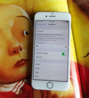 Как использовать VoiceOver на iPhone и iPad |