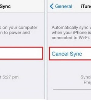 Как исправить Apple iPhone XS, который не выполняет резервное копирование с помощью iTunes [Руководство по устранению неполадок]