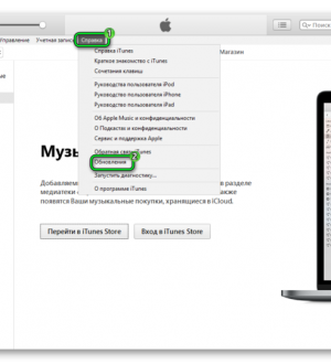 Как исправить ошибку iTunes 0xe8000015