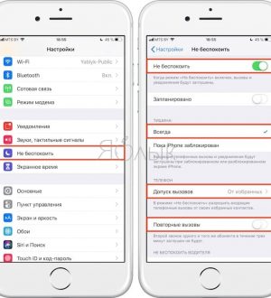 Как исправить ошибку No Service на iPhone, не могу отправлять / принимать звонки и текстовые сообщения