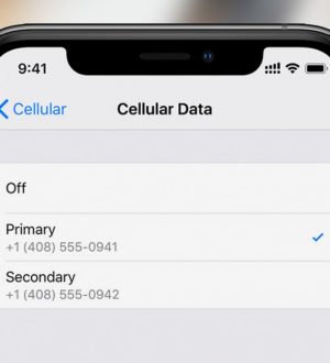 Как исправить приложение «Книги» в Apple Books, которое не работает на Apple iPhone XS Max [Руководство по устранению неполадок]