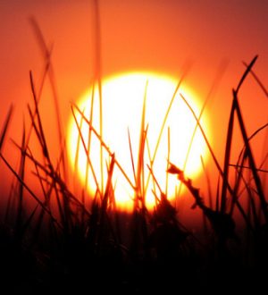 Как исправить проблему с Apple iPhone 5S