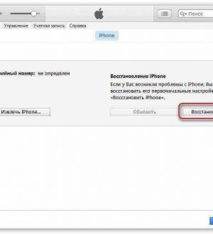 Как исправить то, что Whatsapp не загружается, продолжает падать на iPhone SE после установки последней версии iOS [Руководство по устранению неполадок]