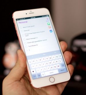 Как изменить приоритет, перемещать и добавлять заметки в напоминания на iPhone или iPad |