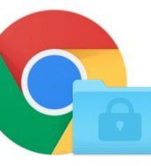 Как экспортировать ваши пароли и данные для входа из Google Chrome