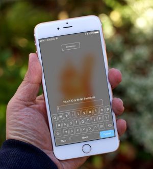 Как настроить безопасность на iPhone и iPad |