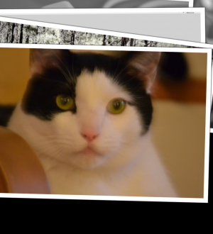 Как настроить библиотеку фотографий iCloud, обмен фотографиями и мой фотопоток на Apple TV |