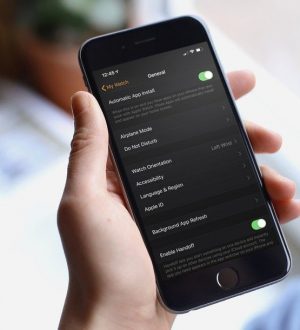 Как настроить и использовать функции доступности для зрения на Apple Watch |