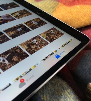 Как настроить и использовать iCloud Photo Library на iPhone и iPad |