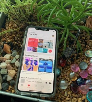 Как настроить и изменить свой профиль пользователя в Apple Music |