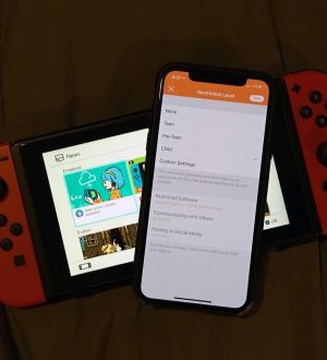 Как настроить родительские ограничения в новостной ленте Nintendo Switch |