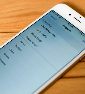 Как настроить звуки на вашем iPhone или iPad |
