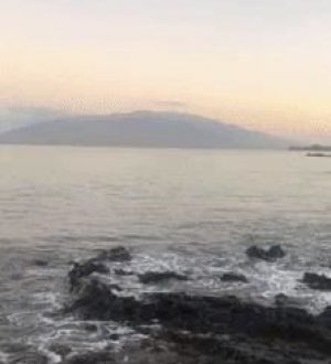 Как остановить автоматическое воспроизведение видео и живых фотографий в приложении «Фотографии» на iOS 13