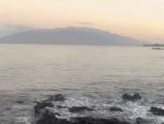 Как остановить автоматическое воспроизведение видео и живых фотографий в приложении &laquo;Фотографии&raquo; на iOS 13