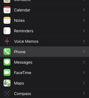 Как отправить Robocalls, спаммеров и неизвестных абонентов на ваш iPhone напрямую в голосовую почту