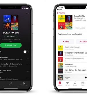 Как перенести свои списки воспроизведения Spotify в Apple Music