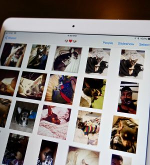 Как поделиться фотографиями с Family Sharing и iCloud |