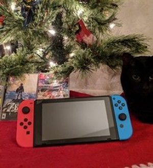 Как поделиться своим Nintendo Switch во время праздников |