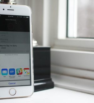 Как получить голосовые заметки с вашего iPhone |