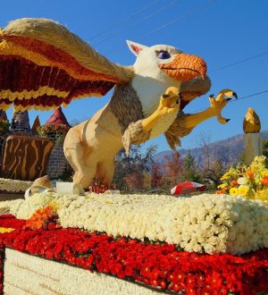 Как посмотреть Турнир Парад Роз в 2019 году |