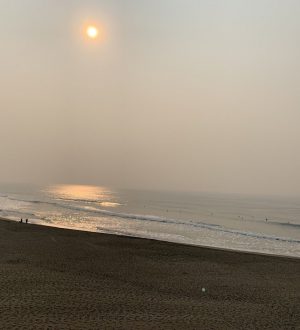 Как пожертвовать, чтобы помочь жертвам пожара в Калифорнии и бойцам |