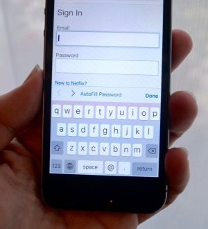 Как просмотреть сохраненные пароли Safaris и информацию о кредитной карте на iPhone и iPad |