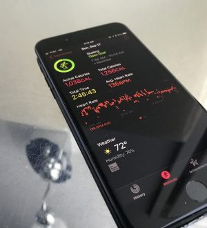 Как просмотреть свои прошлые кольца активности и тренировки в Activity для iPhone |