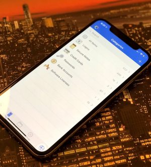 Как работают пароли в iOS 12 |