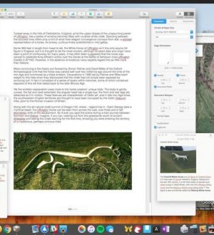 Как разместить примечания поверх приложений Windows в macOS