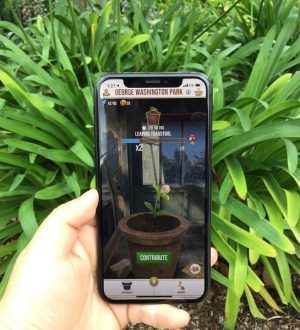 Как сажать ингредиенты в теплицах в Гарри Поттере: Wizards Unite |