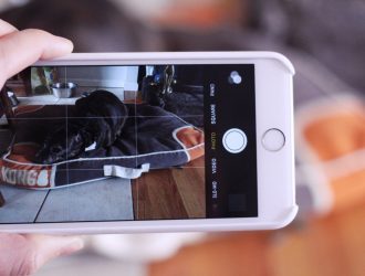 Как искать людей, места, животных и вещи в приложении «Фотографии» для iPhone и iPad |