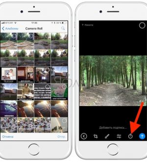 Как сделать скриншот на Mac