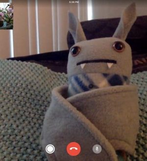 Как сделать живое фото в FaceTime на iOS 11 и macOS High Sierra