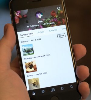 Как скачать все свои фотографии с Flickr и удалить свой аккаунт |