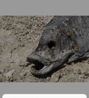 Как скрыть личные фотографии на вашем iPhone