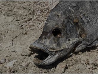 Как скрыть личные фотографии на вашем iPhone