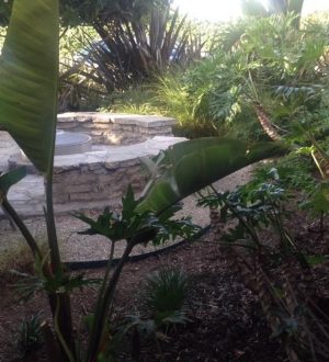 Как снимать покадровые видео с помощью приложения «iPhone Camera Stock Camera» (iOS 8)