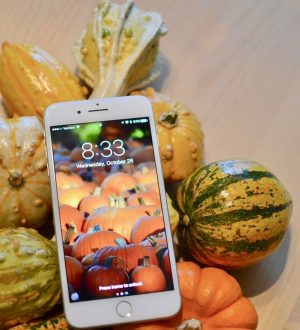 Как спланировать идеальную вечеринку в честь Хэллоуина! |