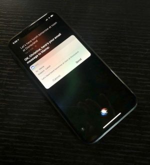 Как удалить свои данные из Siri на вашем iPhone, iPad и Mac |