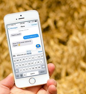 Как услышать ваши исправления с помощью автоматического текстового сообщения для визуальной доступности на iPhone и iPad |