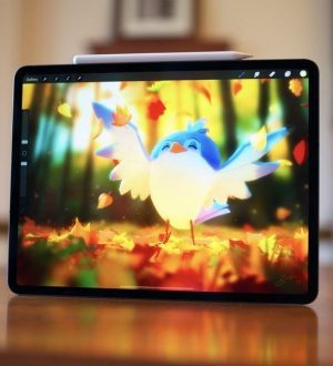 Как установить iPadOS 13.2 для разработчиков на свой iPad |