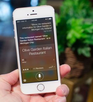 Как узнать цены ресторана, часы и отзывы с Siri |