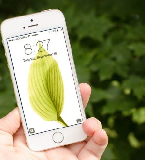 Как включить и отключить предложения приложений в iOS 8 |