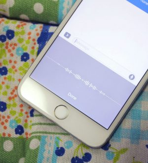 Как включить, использовать и отключить диктовку на iPhone и iPad |