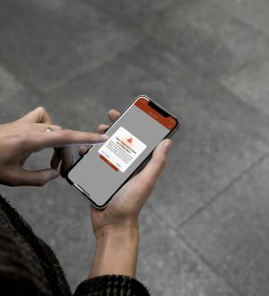Как включить критические оповещения в iOS 12 |