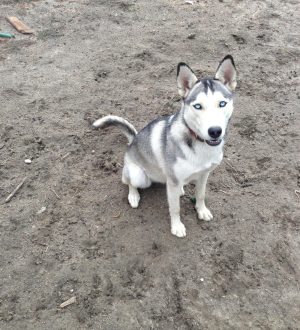 Как включить себя в фотографии, которые вы делаете со своей семьей и друзьями на своем iPhone