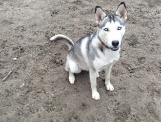 Как включить себя в фотографии, которые вы делаете со своей семьей и друзьями на своем iPhone