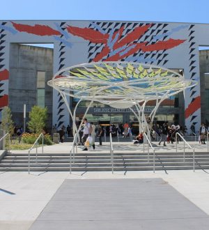 Как выжить WWDC 2019 |